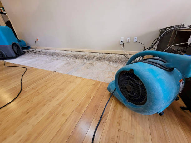 Reliable Water Extraction contractor in Meridian, MS by Hirex Water Damage