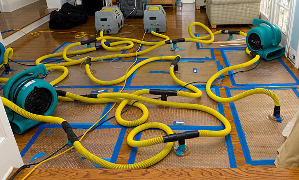 Professional Water Extraction technician working in Meridian, MS