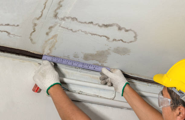 Affordable Water Damage Repair solutions in Meridian, MS